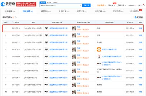 愛(ài)國(guó)者公司被限制高消費(fèi)，計(jì)算機(jī)軟硬件業(yè)務(wù)面臨挑戰(zhàn)
